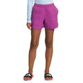 The North Face Womens Class V Short