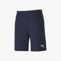 Team Final21 Shorts Youth