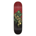 Creature Skateboard Deck Imp Relic Stumps 8.13" x 31.45"