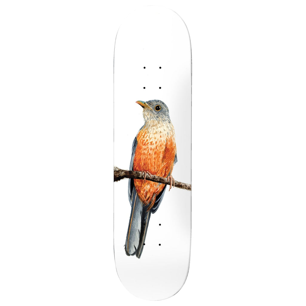 Deathwish Skateboard Deck Yuri Facchini Sabia-Laranjeira 8.125" x 31.5"