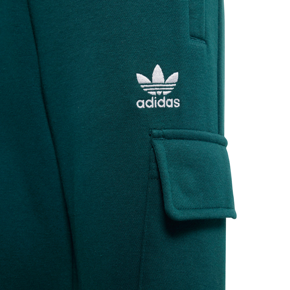 Pullover Hoodie & Cargo Pants Set (Toddler)