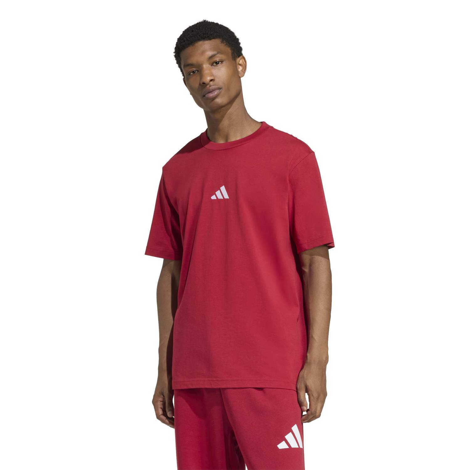 Small Logo BOS Tee - Mens