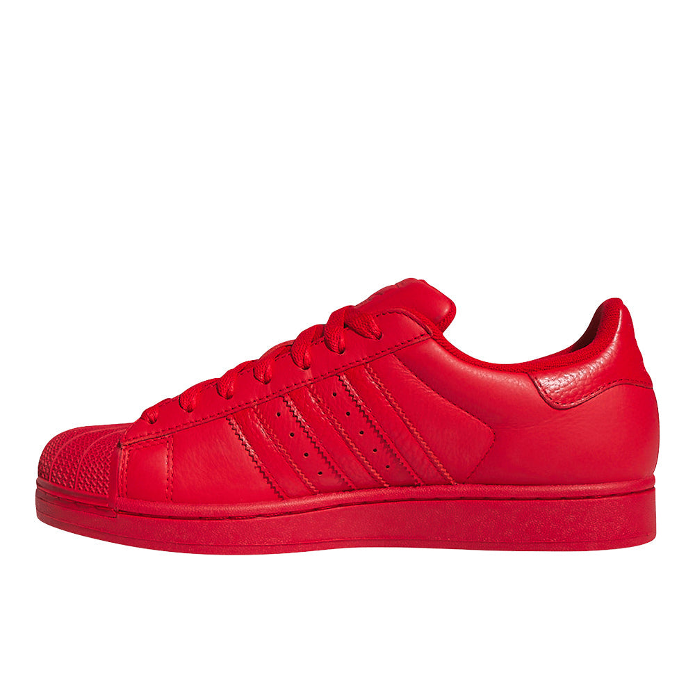 Superstar II Lace Up Sneakers