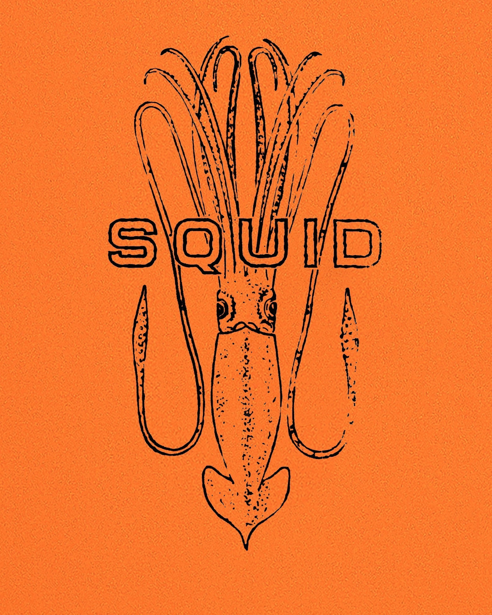 SQUID 6'0 - Orange/Blue