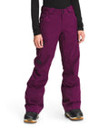 The North Face - Lostrail Futurelight Pant - Pamplona Purple