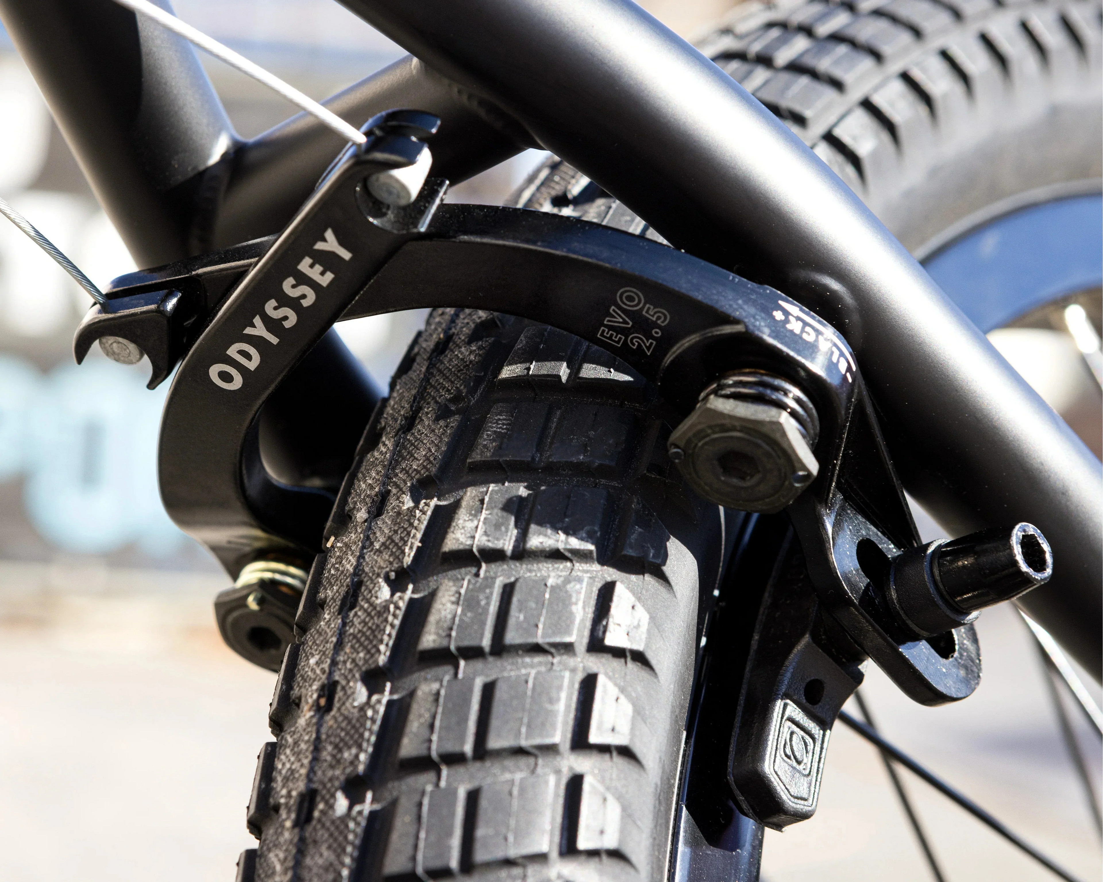 Sunday Wavelength Gary Young Signature Bike
